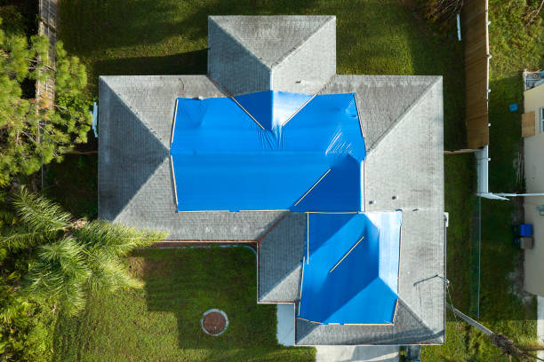 Best Asphalt Shingles Roofing  in Seguin, TX